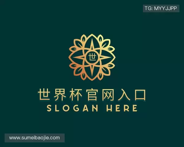 了解世界杯官网入口